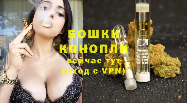 шишки Армянск