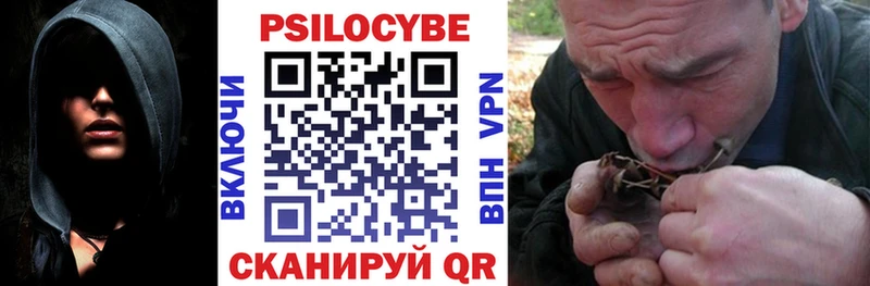 Галлюциногенные грибы GOLDEN TEACHER  Бийск 