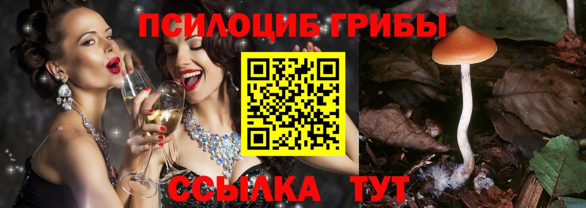 Галлюциногенные грибы Psilocybe  Вход с VPN  Бийск 