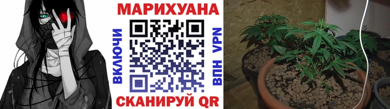 Канабис THC 21%  Бийск 
